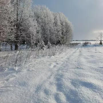 Участок в Ленинградская область, Волосовский район, Калитинское с/пос, ...