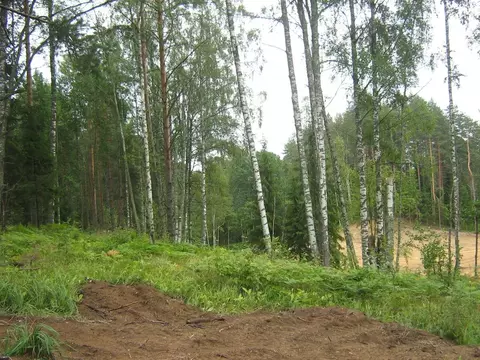 Участок в Ленинградская область, Всеволожский район, Куйвозовское ...