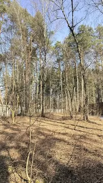 Участок в Московская область, Красногорск городской округ, пос. ...