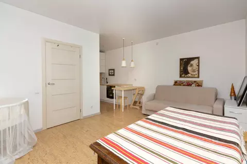 Студия Санкт-Петербург Парашютная ул., 38к1 (27.5 м)