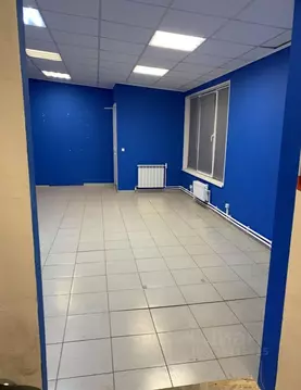 Помещение свободного назначения в Псковская область, Псковский район, ...