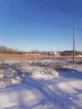Участок в Амурская область, Благовещенский район, с. Ровное  (10.0 ...