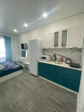 Студия Краснодарский край, Сочи Туапсинская ул., 10 (26.0 м)