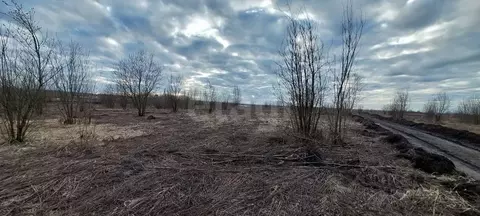 Участок в Брянская область, Брянский район, Отрадненское с/пос, с. ...