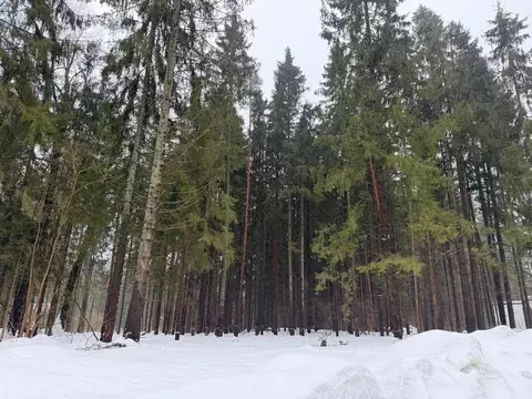 Участок в Московская область, Дмитровский муниципальный округ, д. ...