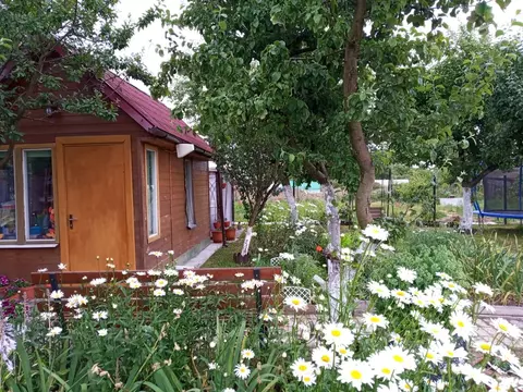 Дом в Калининградская область, Гурьевский муниципальный округ, Парус ...