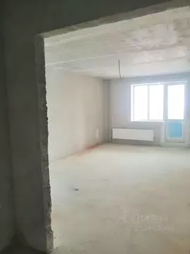 Студия Новосибирская область, Бердск ул. Белокаменная, 75 (30.0 м)