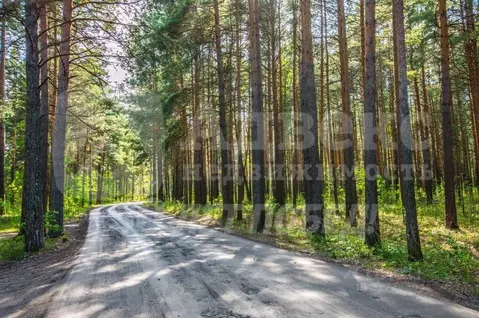 Участок в Тюменская область, Нижнетавдинский муниципальный округ, ...