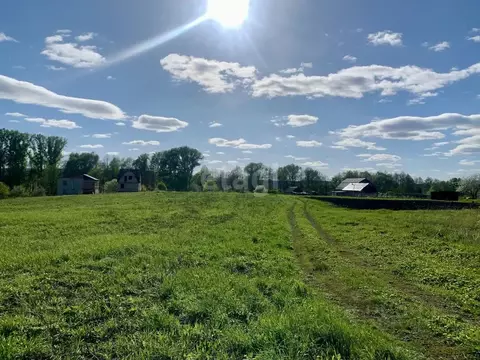 Участок в Мордовия, Лямбирский район, Атемарское с/пос, с. Новая Уда  ...