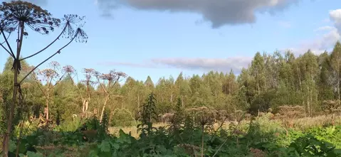 Участок в Московская область, Талдомский городской округ, д. ...