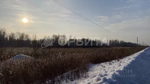 Участок в Тюменская область, Тюмень Ямал СНТ, ул. Ямальская (50.0 ...