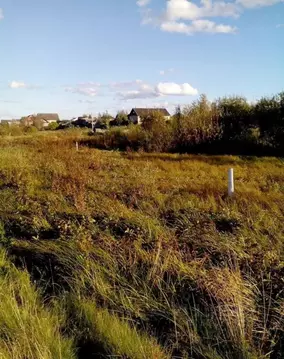 Участок в Новгородская область, Окуловка Горная ул. (15.0 сот.)