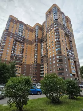 3-к кв. Санкт-Петербург просп. Космонавтов, 61к2 (104.1 м)