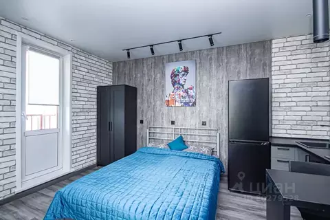 Студия Новосибирская область, Новосибирск ул. Фрунзе, 49/2 (30.0 м)