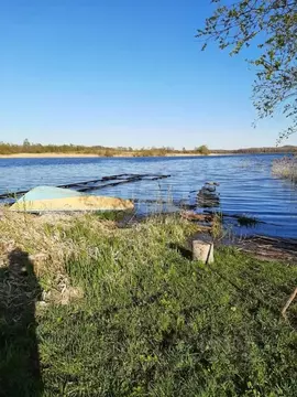 Участок в Псковская область, Дедовичский район, Пожеревицкая волость, ...