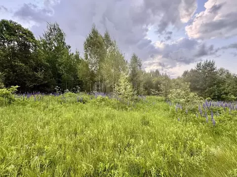 Участок в Смоленская область, Ярцево ул. Рябиновая, 12 (12.0 сот.)