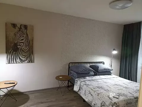 1-к кв. Псковская область, Псков Госпитальная ул., 15 (32.0 м)