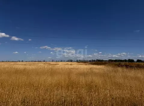 Участок в Крым, Симферопольский район, Николаевское с/пос, с. ...