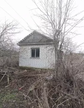 Участок в Ленинградская область, Кингисеппский район, Большелуцкое ...