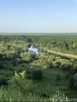 Участок в Воронежская область, Рамонский район, Карачунское с/пос, с. ...