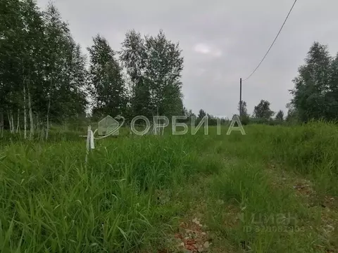 Участок в Тюменская область, Тюменский муниципальный округ, Янтарное ...