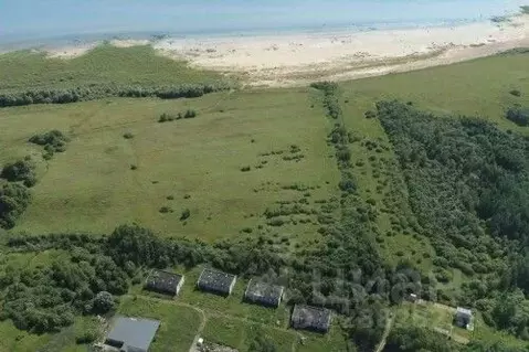 Участок в Новгородская область, Новгородский район, Савинское с/пос, ...