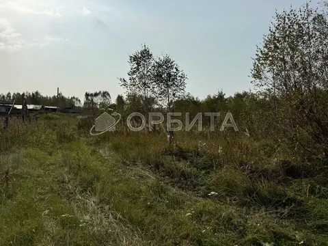 Участок в Тюменская область, Нижнетавдинский муниципальный округ, ...