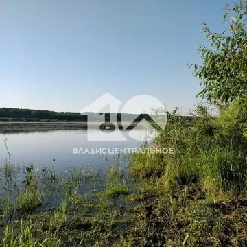 Участок в Новосибирская область, Коченевский район, д. Чик ул. ...