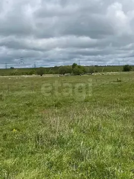 Участок в Калининградская область, Зеленоградский муниципальный округ, ...
