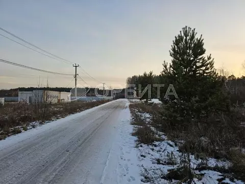 Участок в Тюменская область, Тюменский муниципальный округ, с. ...