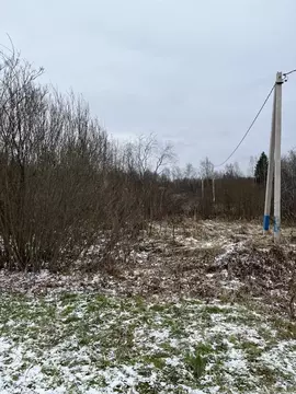 Участок в Московская область, Солнечногорск городской округ, с. ...