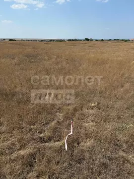 Участок в Крым, Ленинский район, Семисотское с/пос, с. Каменское  (6.0 ...