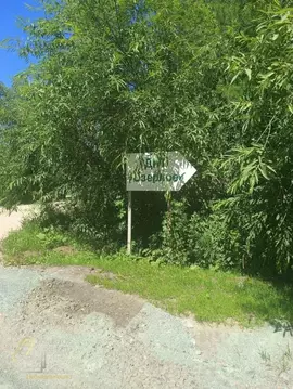 Участок в Новосибирская область, Коченевский район, Озерное ДНТ ул. ...