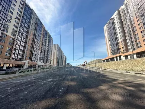 Помещение свободного назначения в Краснодарский край, Новороссийск ул. ...