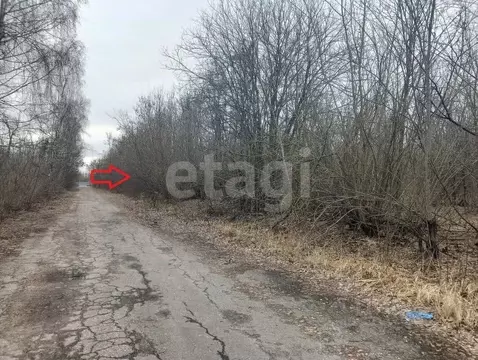 Участок в Курская область, Курский район, Нижнемедведицкий сельсовет, ...