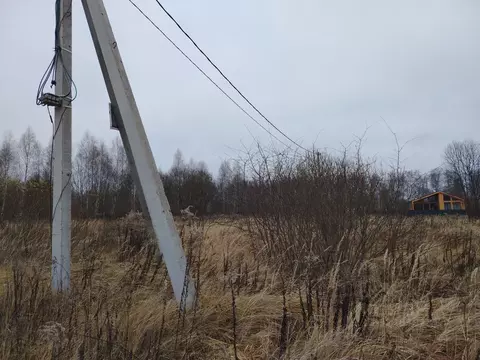 Участок в Тульская область, Тула городской округ, с. Алешня  (12.0 ...