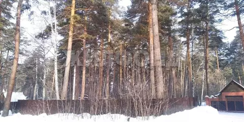 Участок в Новосибирская область, Новосибирский район, Мочищенский ...