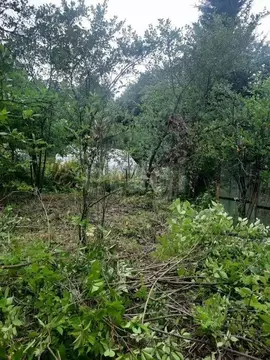 Участок в Нижегородская область, Нижний Новгород Победа СНТ, 350 (5.4 ...