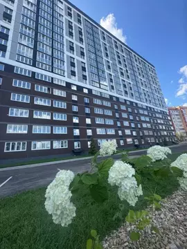 1-к кв. Брянская область, Брянск просп. Станке Димитрова, 67к7 (34.3 ...