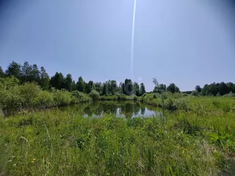 Участок в Свердловская область, Слободо-Туринский район, ...