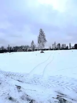Участок в Тюменская область, Нижнетавдинский муниципальный округ, ...