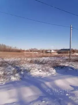 Участок в Амурская область, Благовещенский район, с. Ровное  (10.0 ...