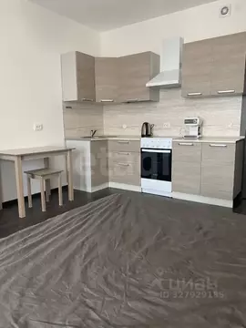 Студия Санкт-Петербург просп. Ветеранов, 183 (24.9 м)