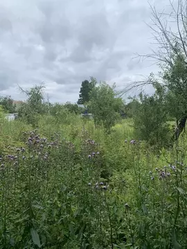 Участок в Калужская область, Ферзиковский район, Бебелевский ...