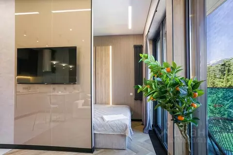 1-к кв. Крым, Ялта ул. Дражинского, 45А (30.0 м)