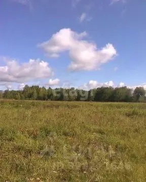 Участок в Пермский край, Пермский муниципальный округ, д. Канабеково  ...