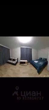 1-к кв. Еврейская автономная область, Биробиджан Театральный пер., 6 ...