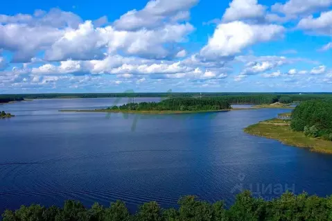 Участок в Тверская область, Осташковский муниципальный округ, д. ...