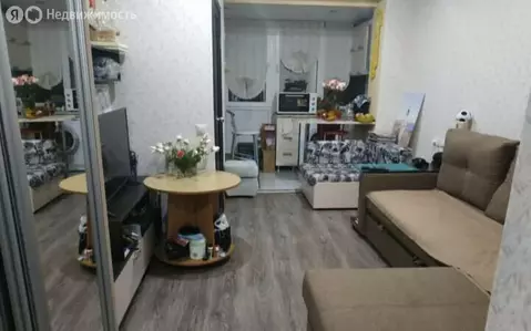 Квартира-студия: Адлер, улица Панфилова, 3 (22 м)