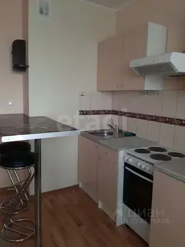 Студия Новосибирская область, Новосибирск Красный просп., 173/1 (26.0 ...